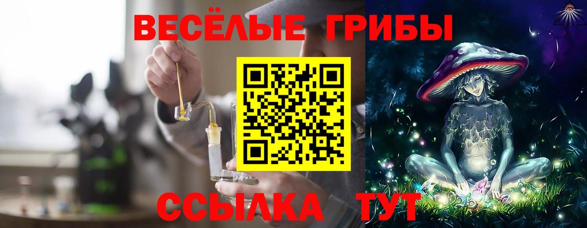 Псилоцибиновые грибы Magic Shrooms  Галлюциногенные грибы MAGIC MUSHROOMS  Владикавказ  Вход с VPN 